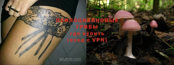 МДПВ Горнозаводск