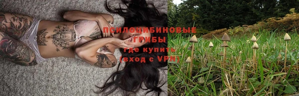 каннабис Горно-Алтайск